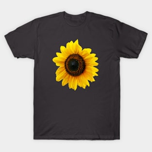 Sunflower T-Shirt